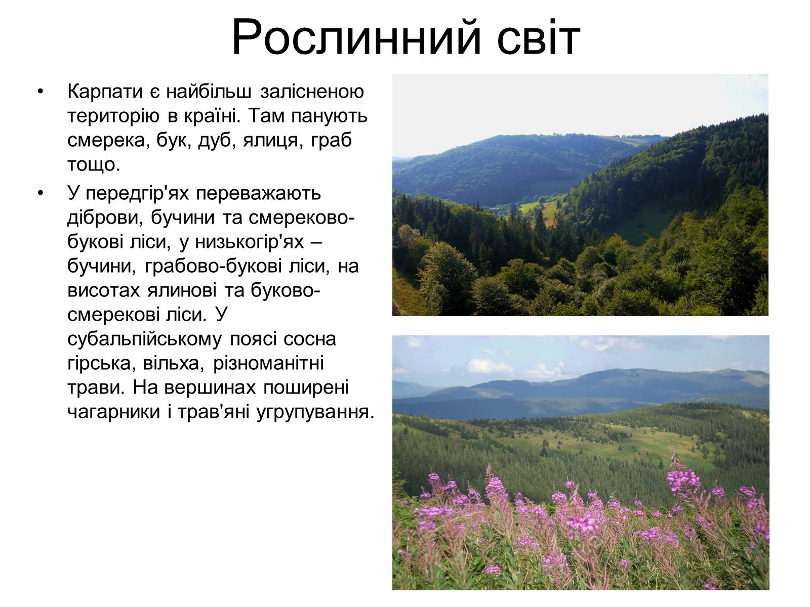Презентація на тему «Українські карпати» (варіант 6) - Слайд #4