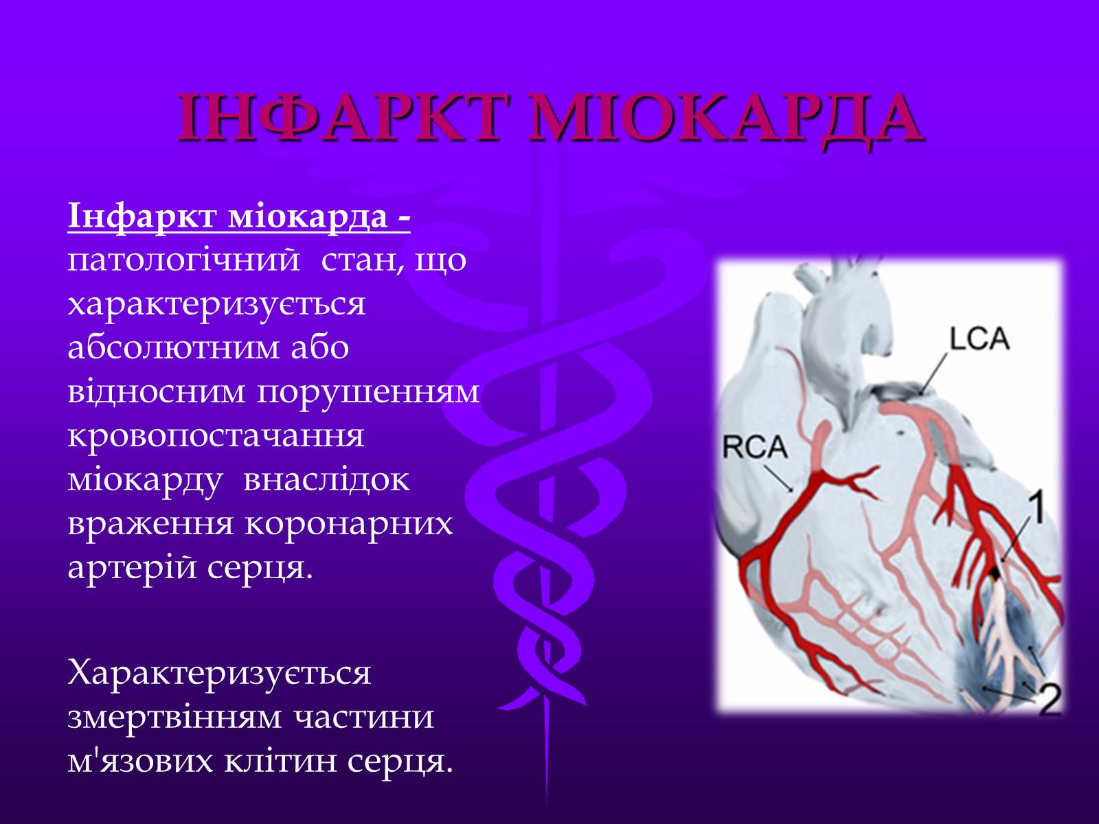 Презентація на тему «Хвороби серцево-судинної системи» (варіант 3) - Слайд #5
