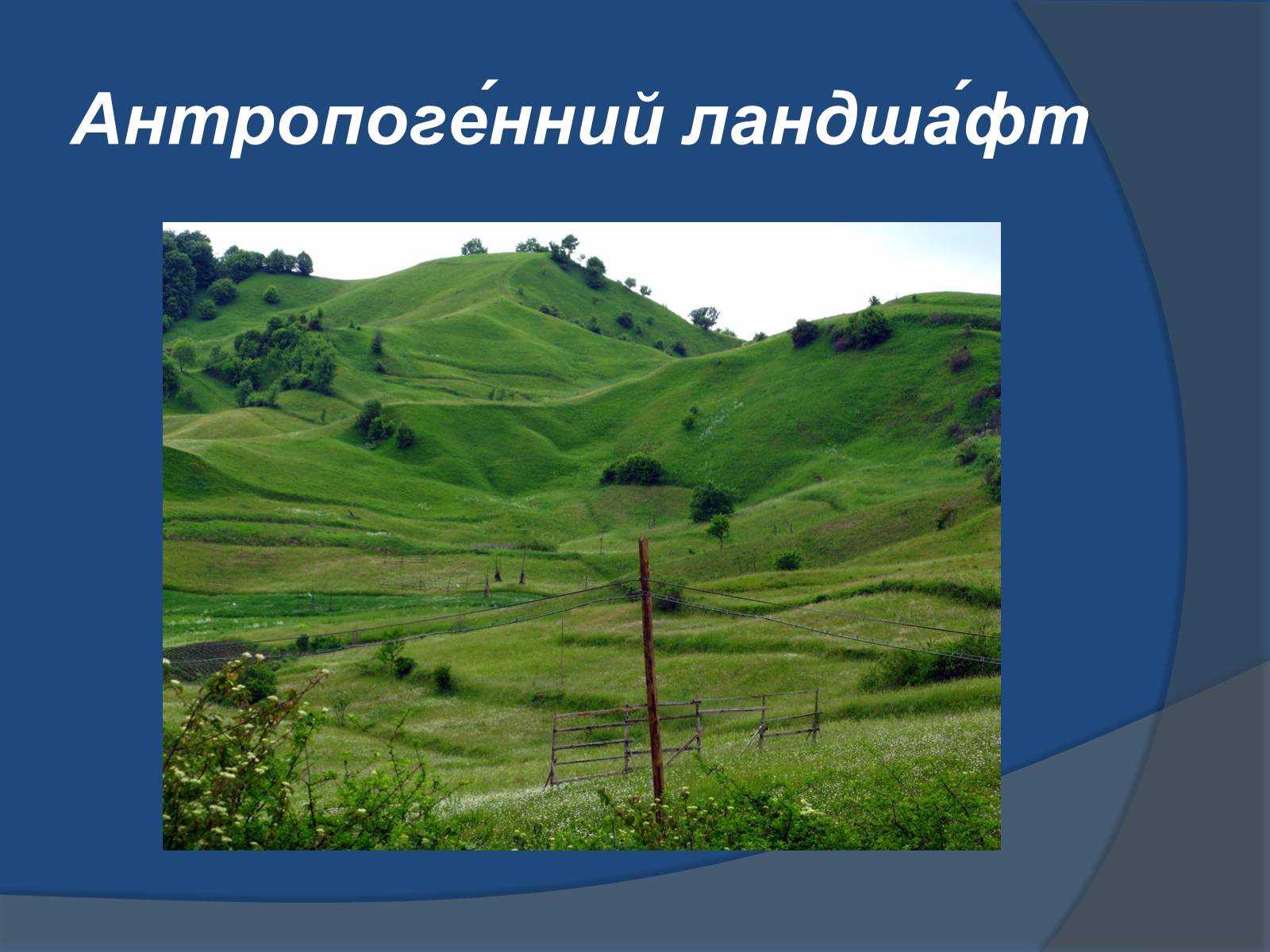 Презентація на тему «Ландшафт України» - Слайд #9