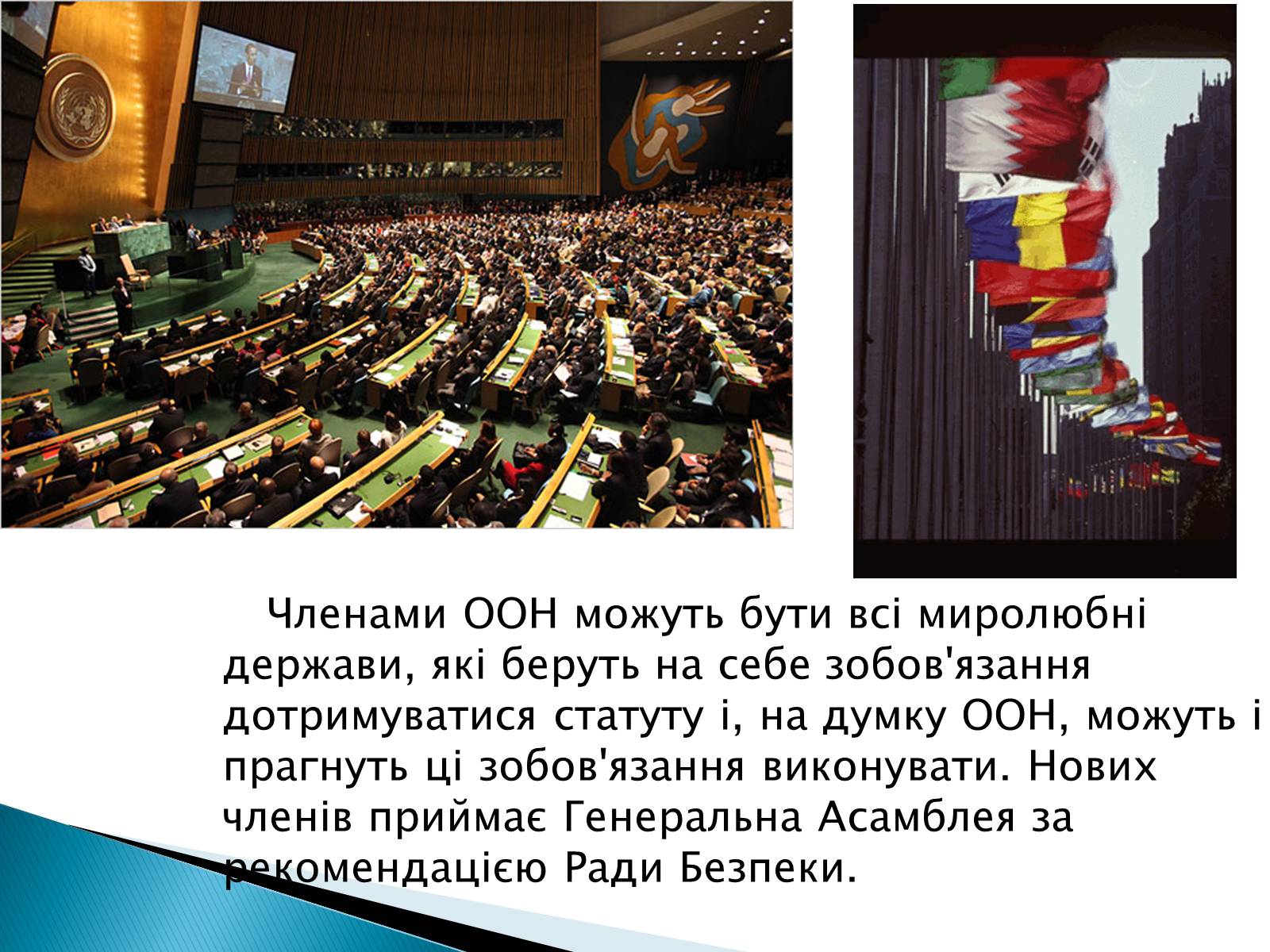 Презентація на тему «Збройні сили України у міжнародній діяльності» - Слайд #11