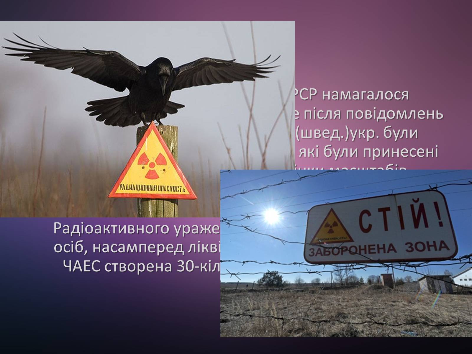 Презентація на тему «Чорнобиль. Загублений світ» - Слайд #4
