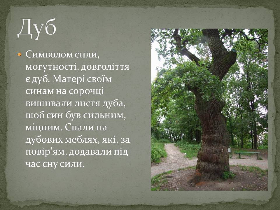 Презентація на тему «Народні символи України» (варіант 2) - Слайд #5