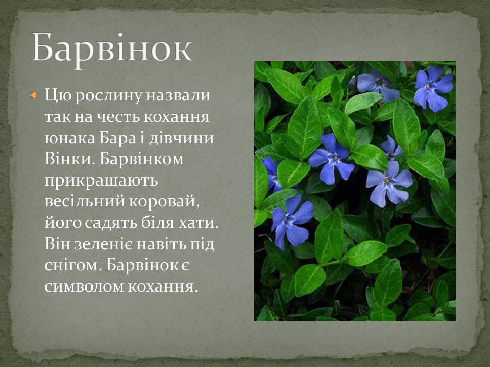 Презентація на тему «Народні символи України» (варіант 2) - Слайд #6