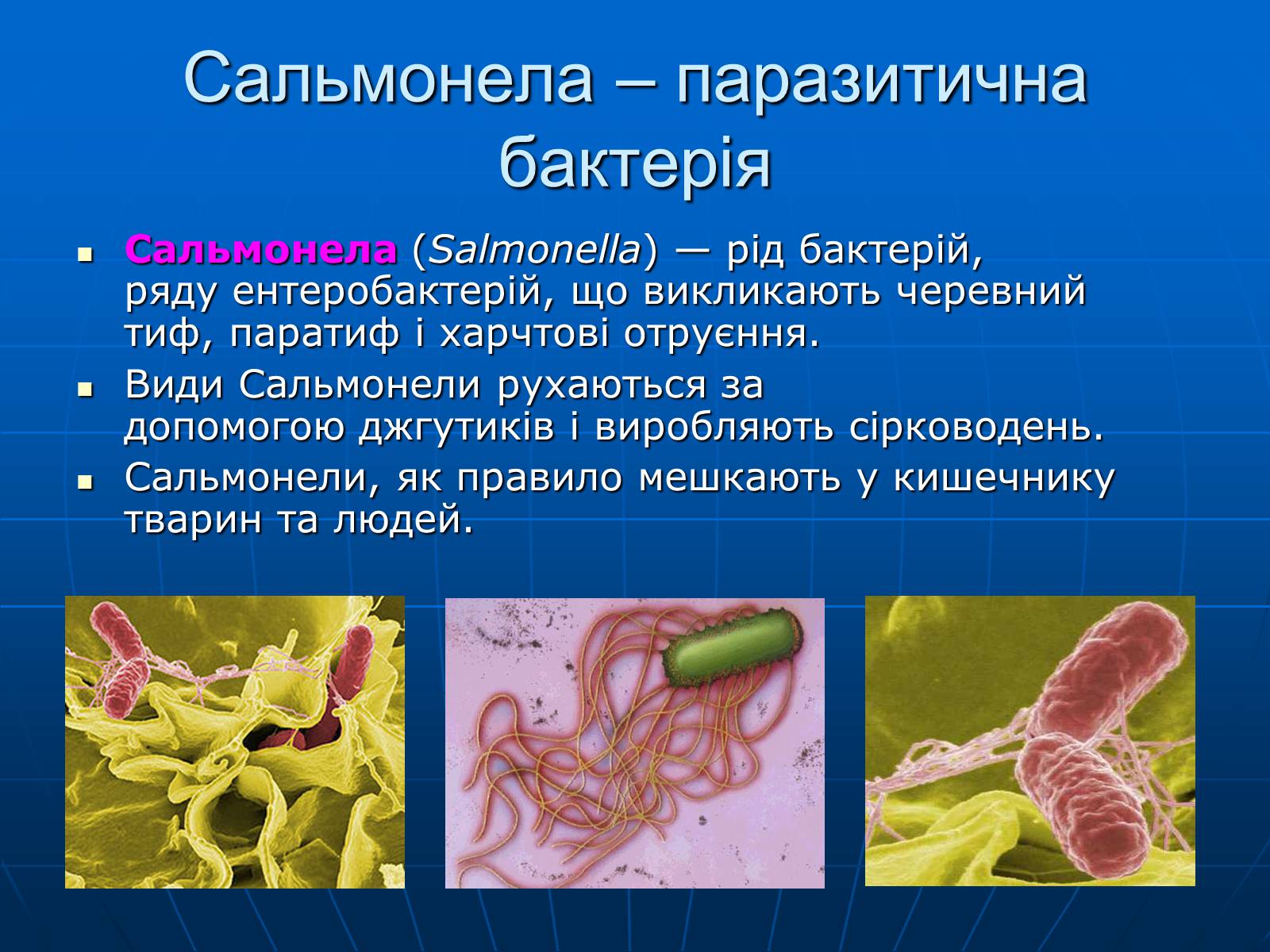 Презентація на тему «Паразитичні бактерії» - Слайд #3