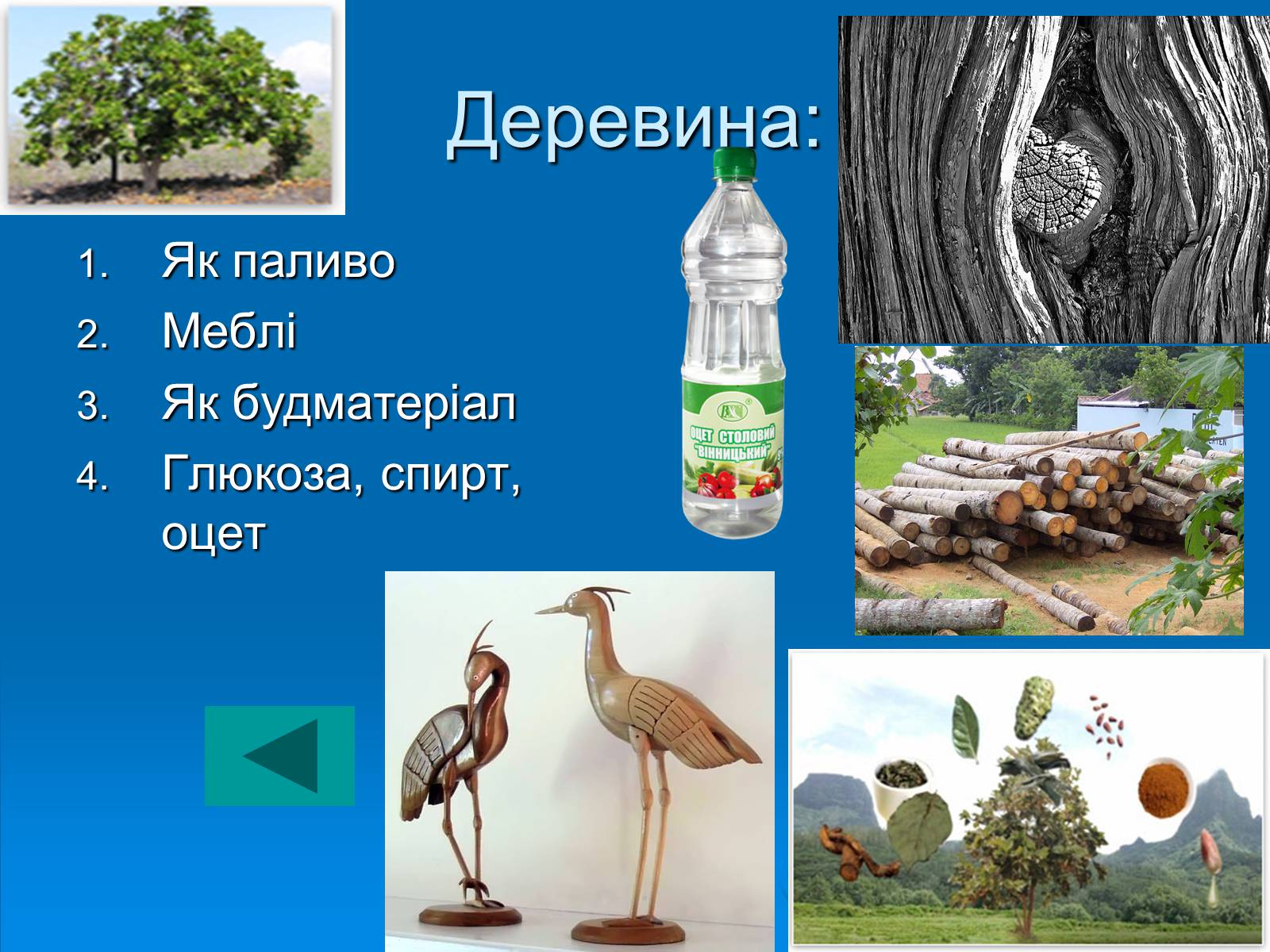 Презентація на тему «Значення хімії у розв’язанні сировинної проблеми» (варіант 2) - Слайд #5