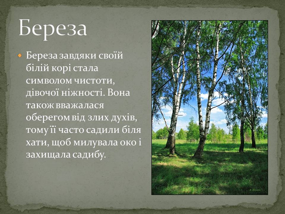 Презентація на тему «Народні символи України» (варіант 2) - Слайд #7