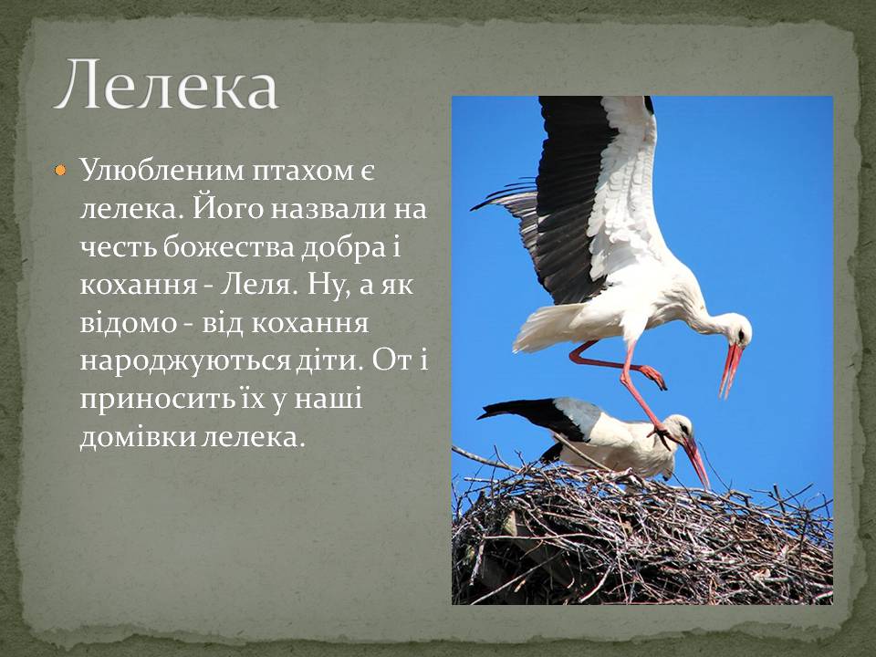 Презентація на тему «Народні символи України» (варіант 2) - Слайд #8