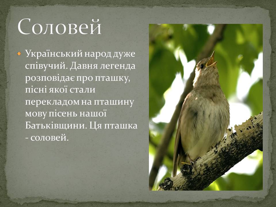 Презентація на тему «Народні символи України» (варіант 2) - Слайд #10