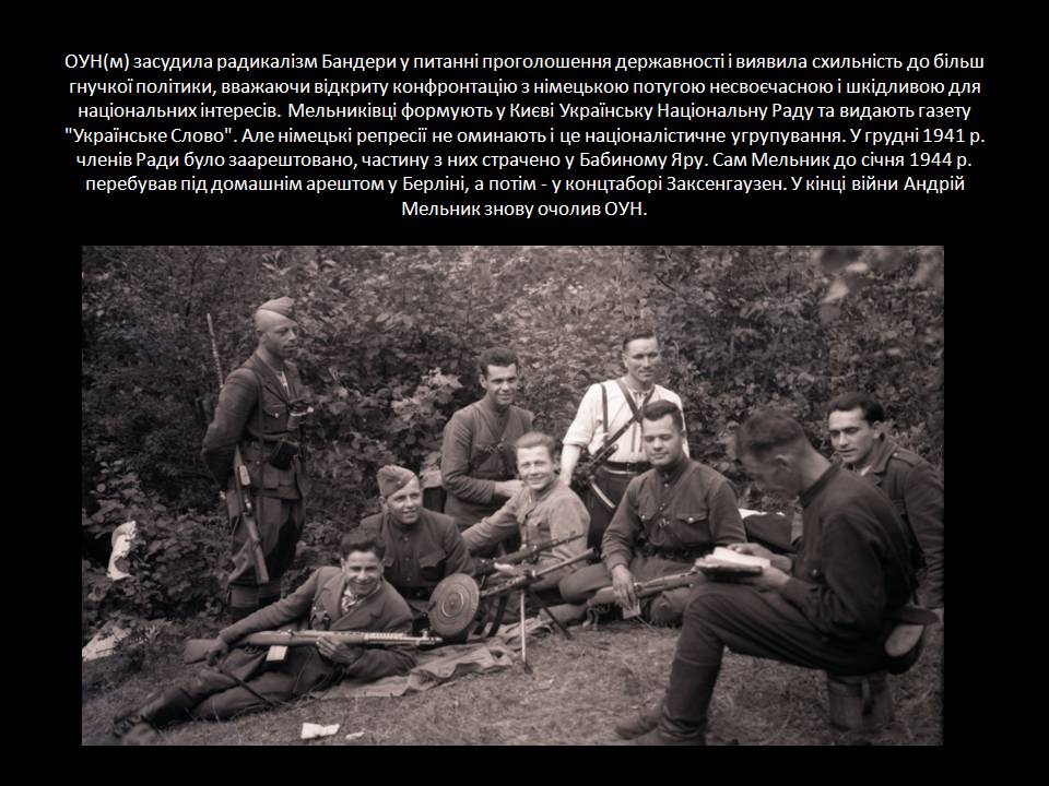 Презентація на тему «Діяльність та структура Української повстанської армії» - Слайд #7