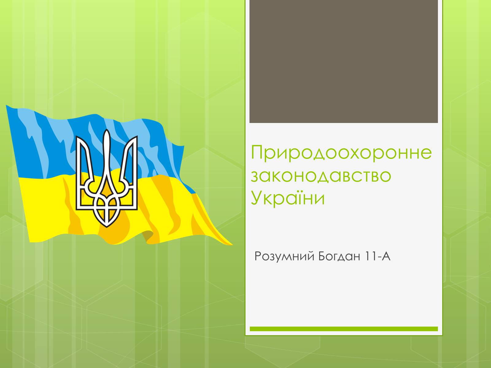 Презентація на тему «Природоохоронне законодавство України» (варіант 1) - Слайд #1