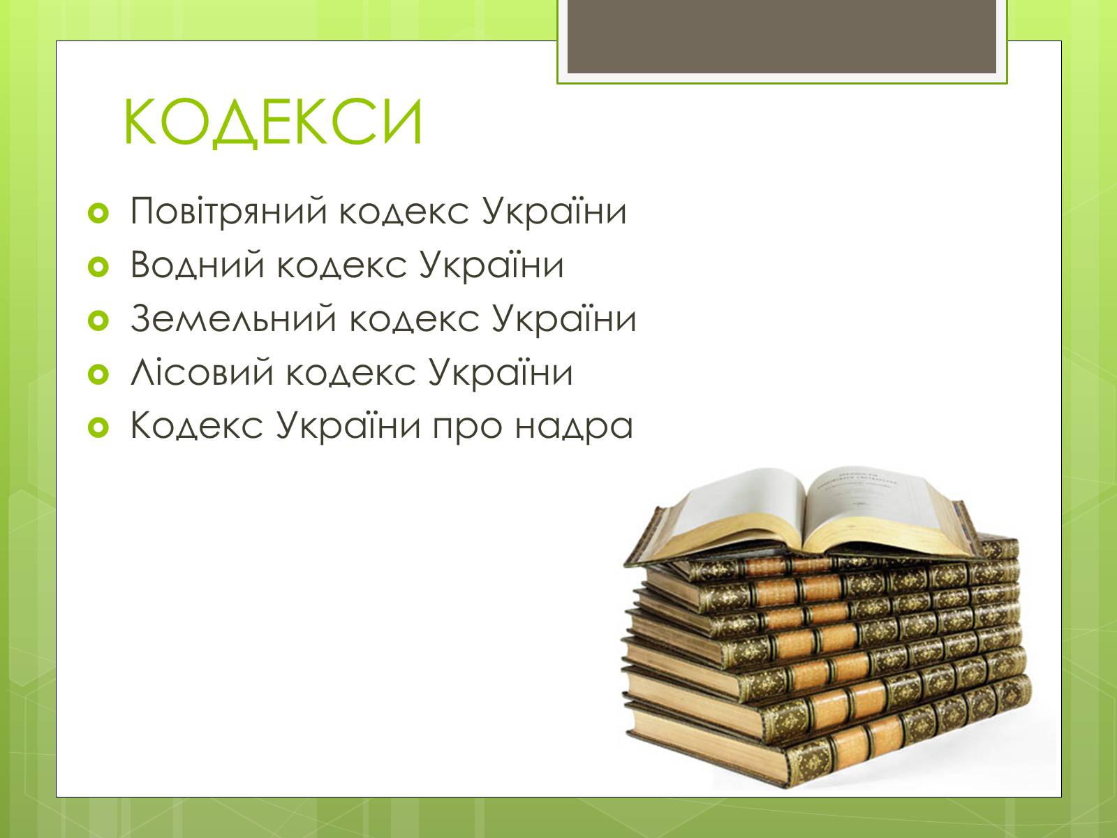 Презентація на тему «Природоохоронне законодавство України» (варіант 1) - Слайд #6