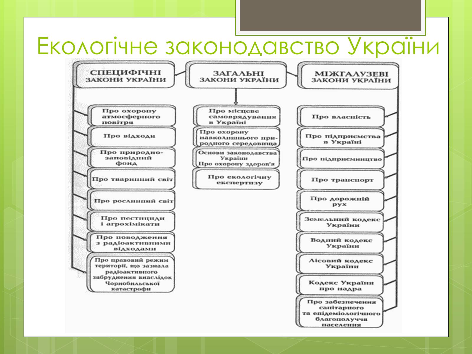 Презентація на тему «Природоохоронне законодавство України» (варіант 1) - Слайд #7