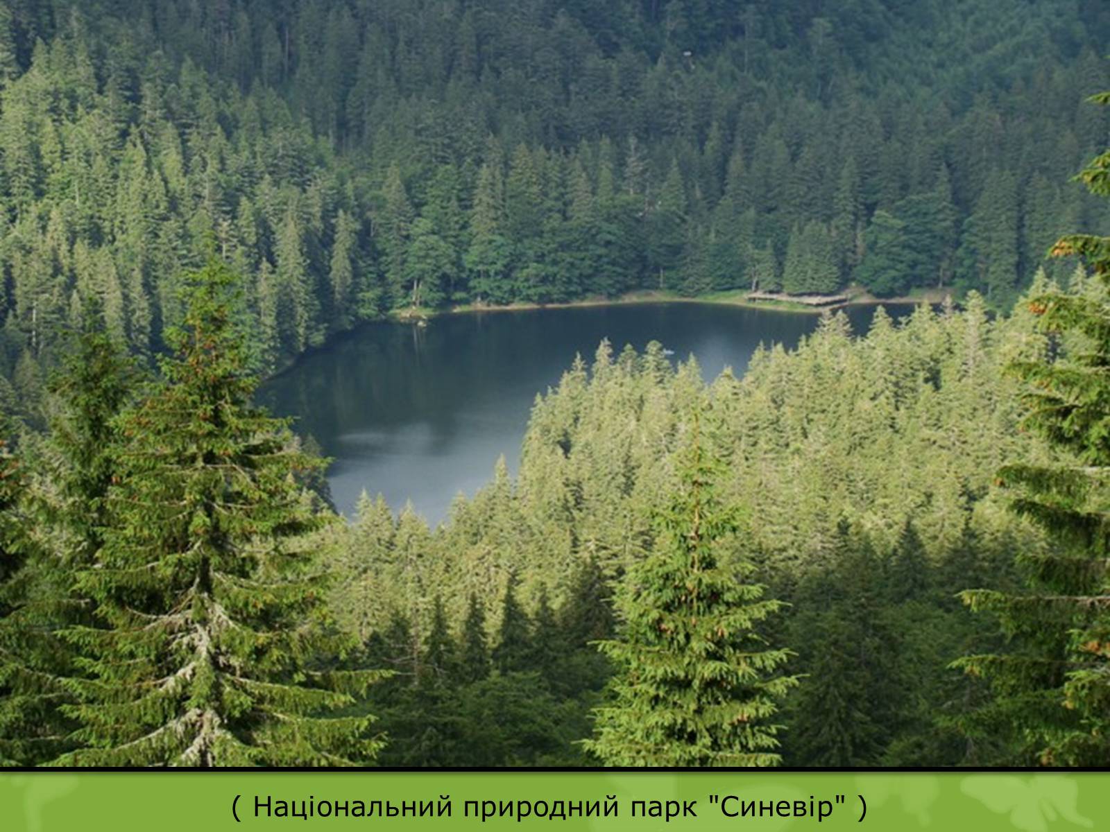 Презентація на тему «Природоохоронне законодавство України» (варіант 1) - Слайд #17