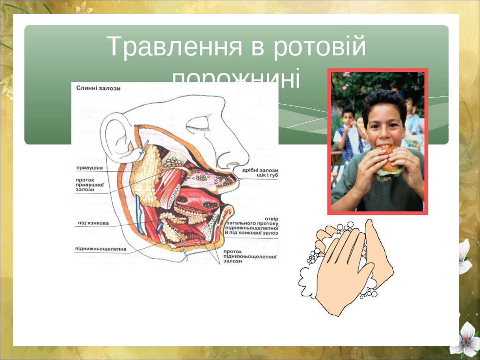 Презентація на тему «Основні безпеки харчування» - Слайд #29