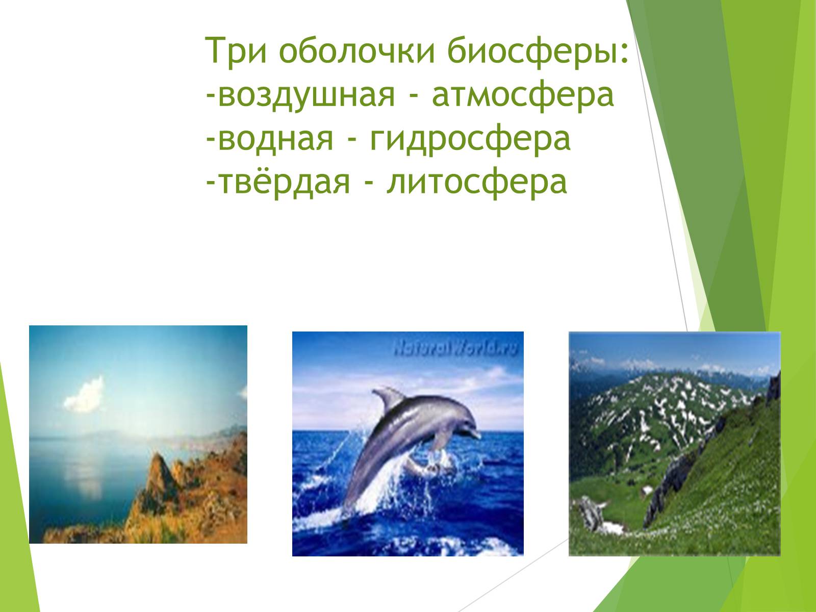 Презентація на тему «Антропогенное загрязнение биосферы и охрана окружающей среды» - Слайд #2