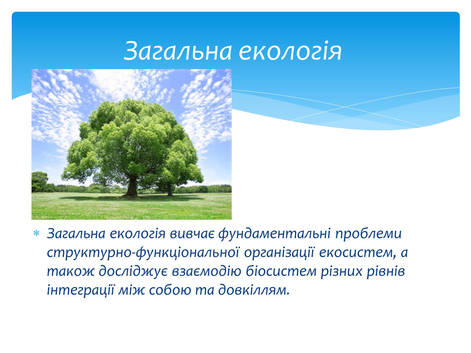 Презентація на тему «Екологія як наука про довкілля» (варіант 3) - Слайд #11