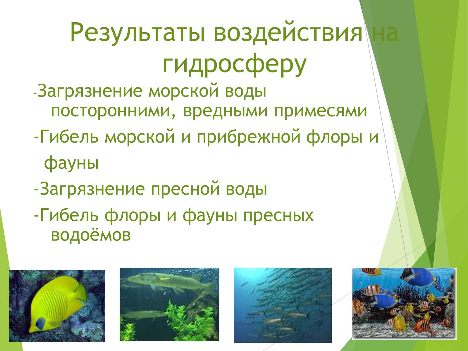 Презентація на тему «Антропогенное загрязнение биосферы и охрана окружающей среды» - Слайд #6