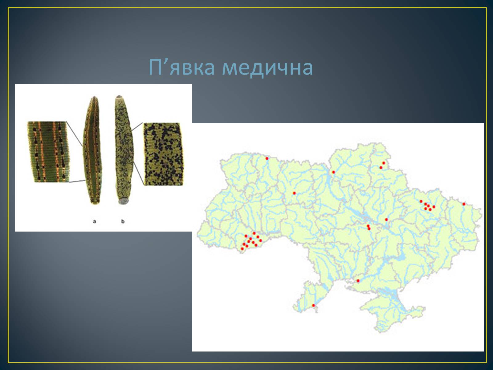 Презентація на тему «Екологічна ситуація в Україні» (варіант 1) - Слайд #54