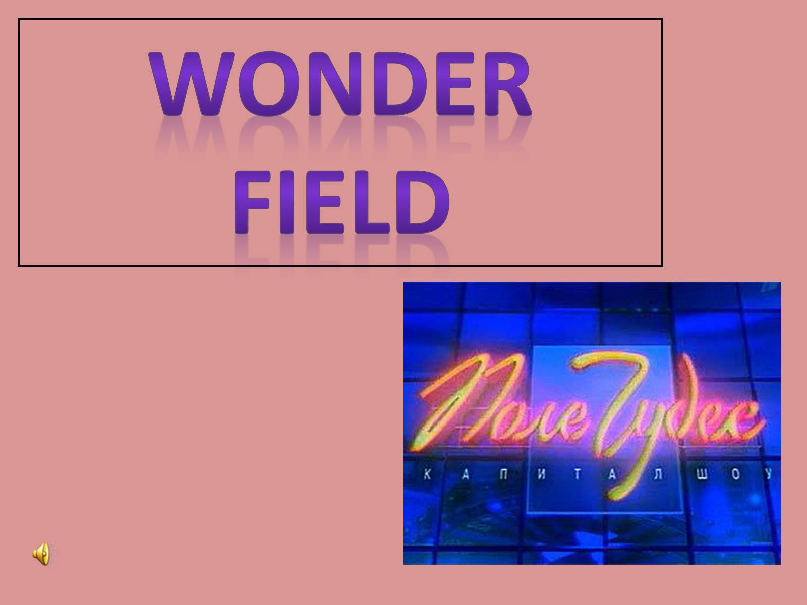 Презентація на тему «Wonder field» - Слайд #2