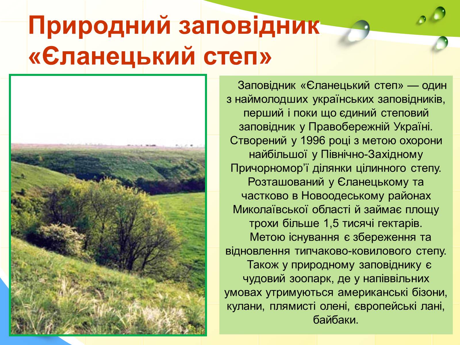 Презентація на тему «Заповідна мережа України» (варіант 2) - Слайд #12