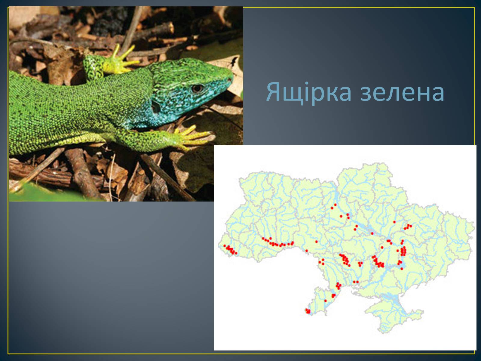 Презентація на тему «Екологічна ситуація в Україні» (варіант 1) - Слайд #71