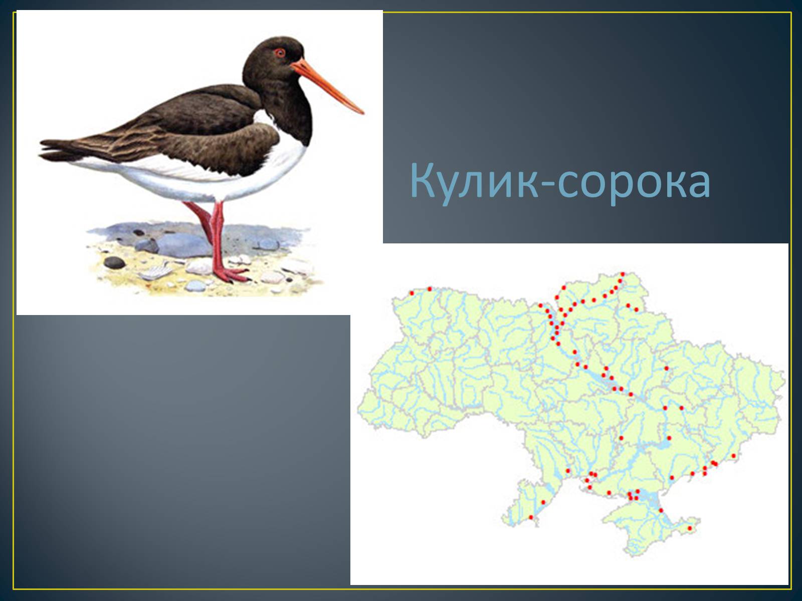 Презентація на тему «Екологічна ситуація в Україні» (варіант 1) - Слайд #78