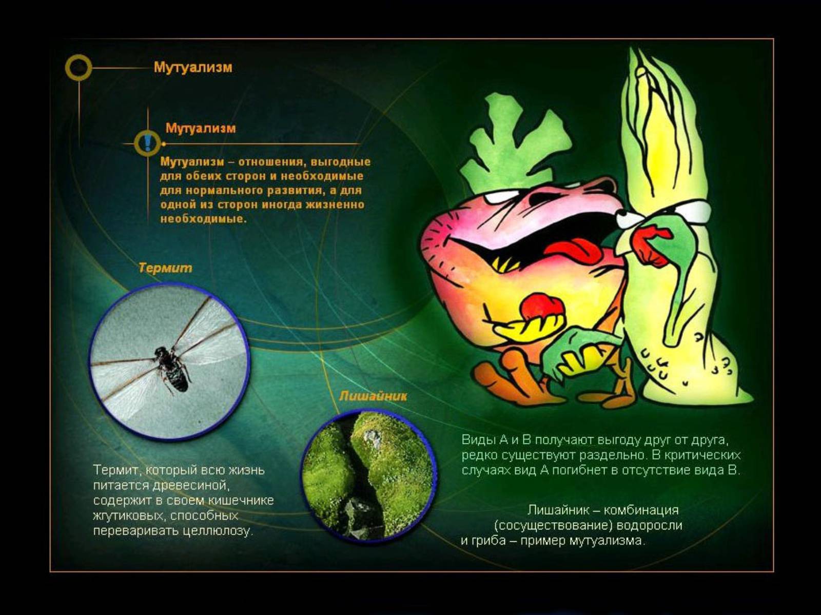Презентація на тему «Взаимоотношения между организмами» - Слайд #5