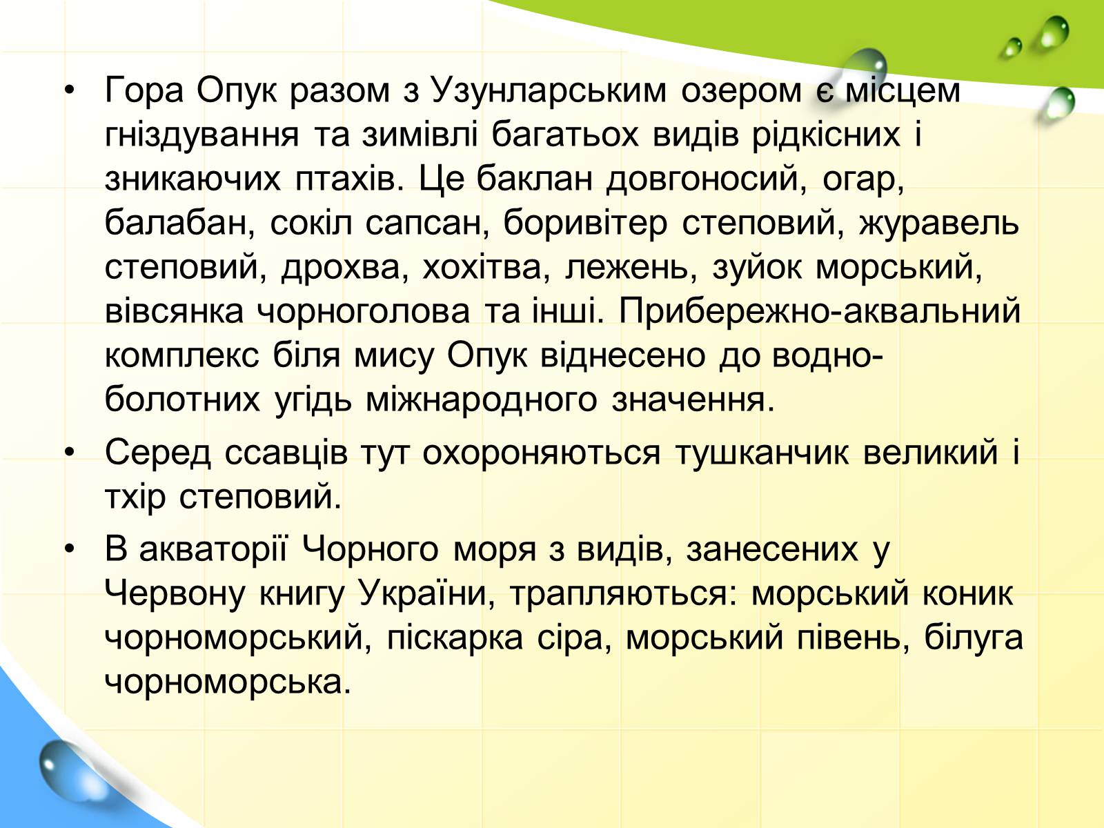 Презентація на тему «Заповідна мережа України» (варіант 2) - Слайд #24