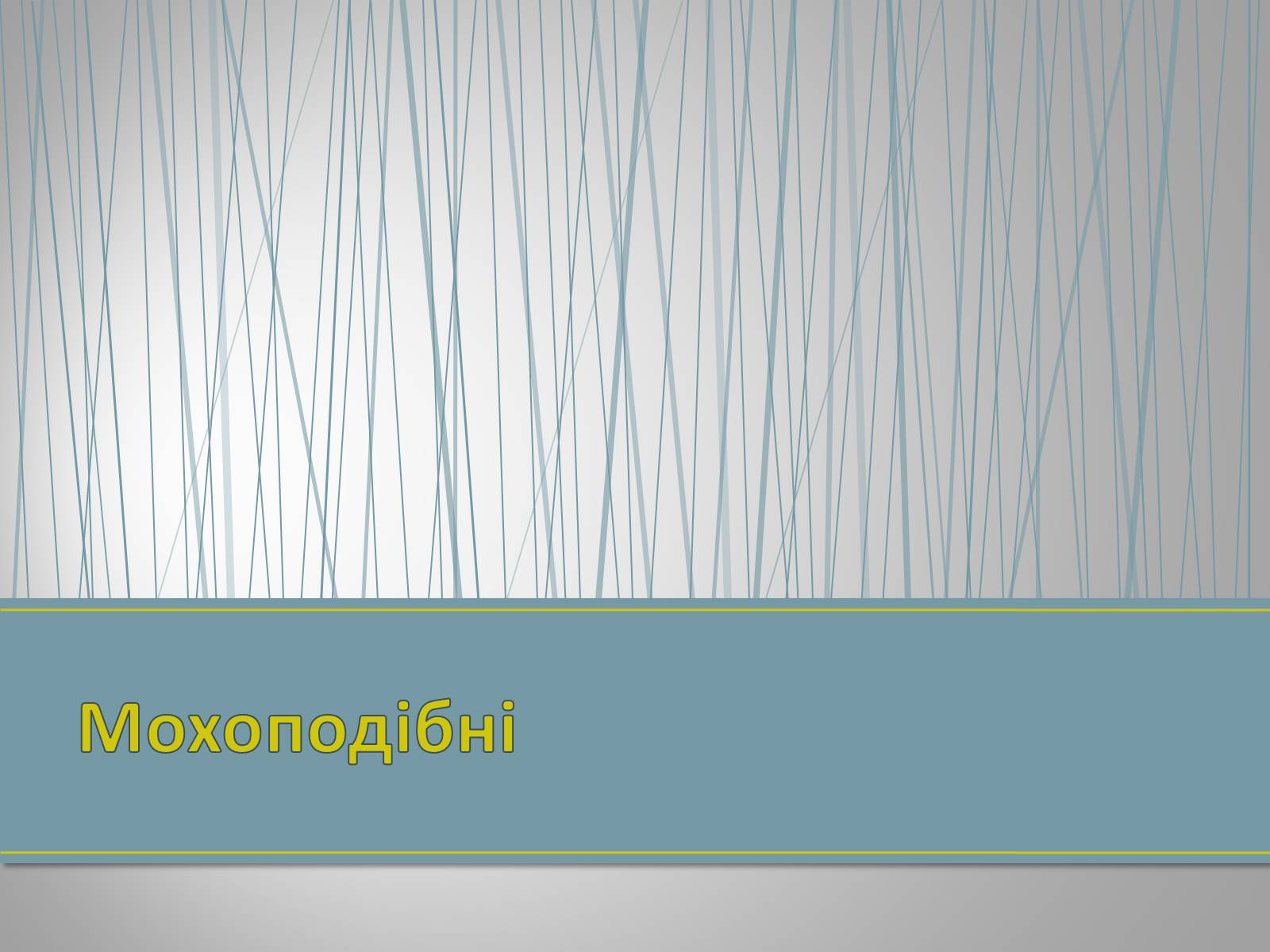 Презентація на тему «Екологічна ситуація в Україні» (варіант 1) - Слайд #95