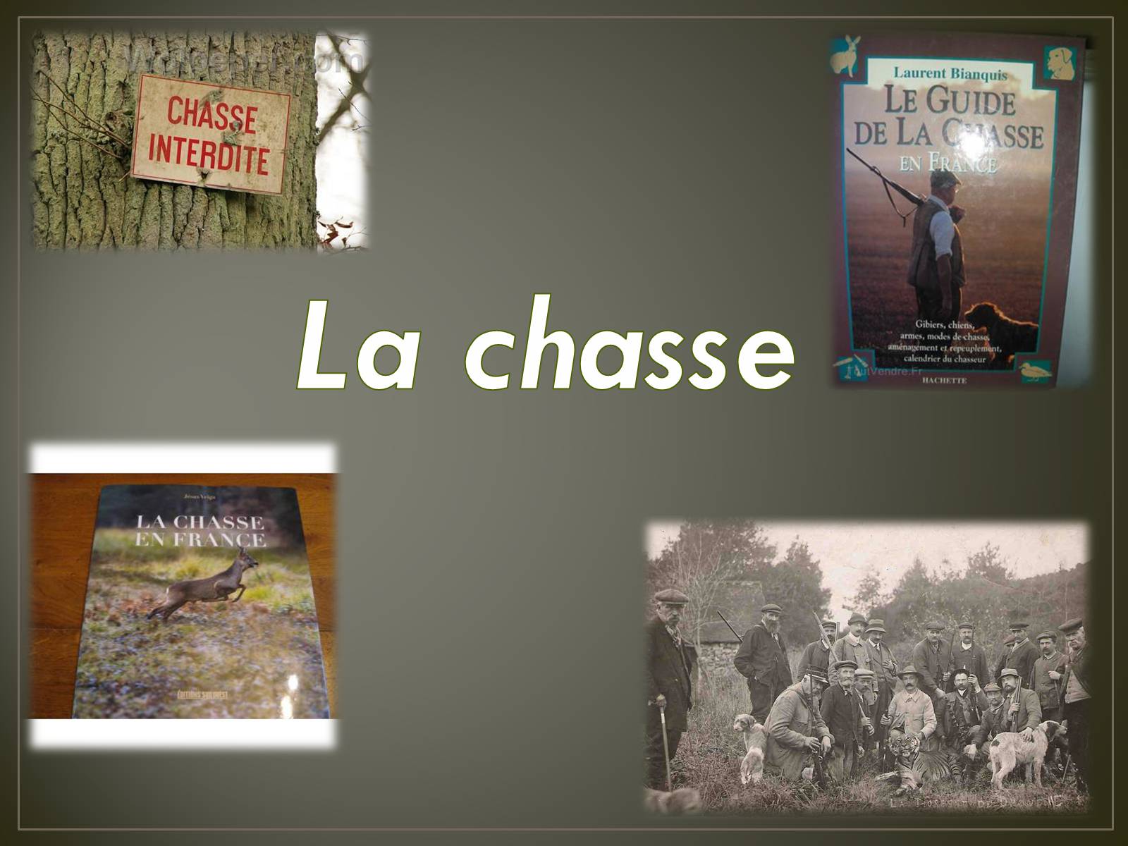 Презентація на тему «Les loisirs en France» - Слайд #12