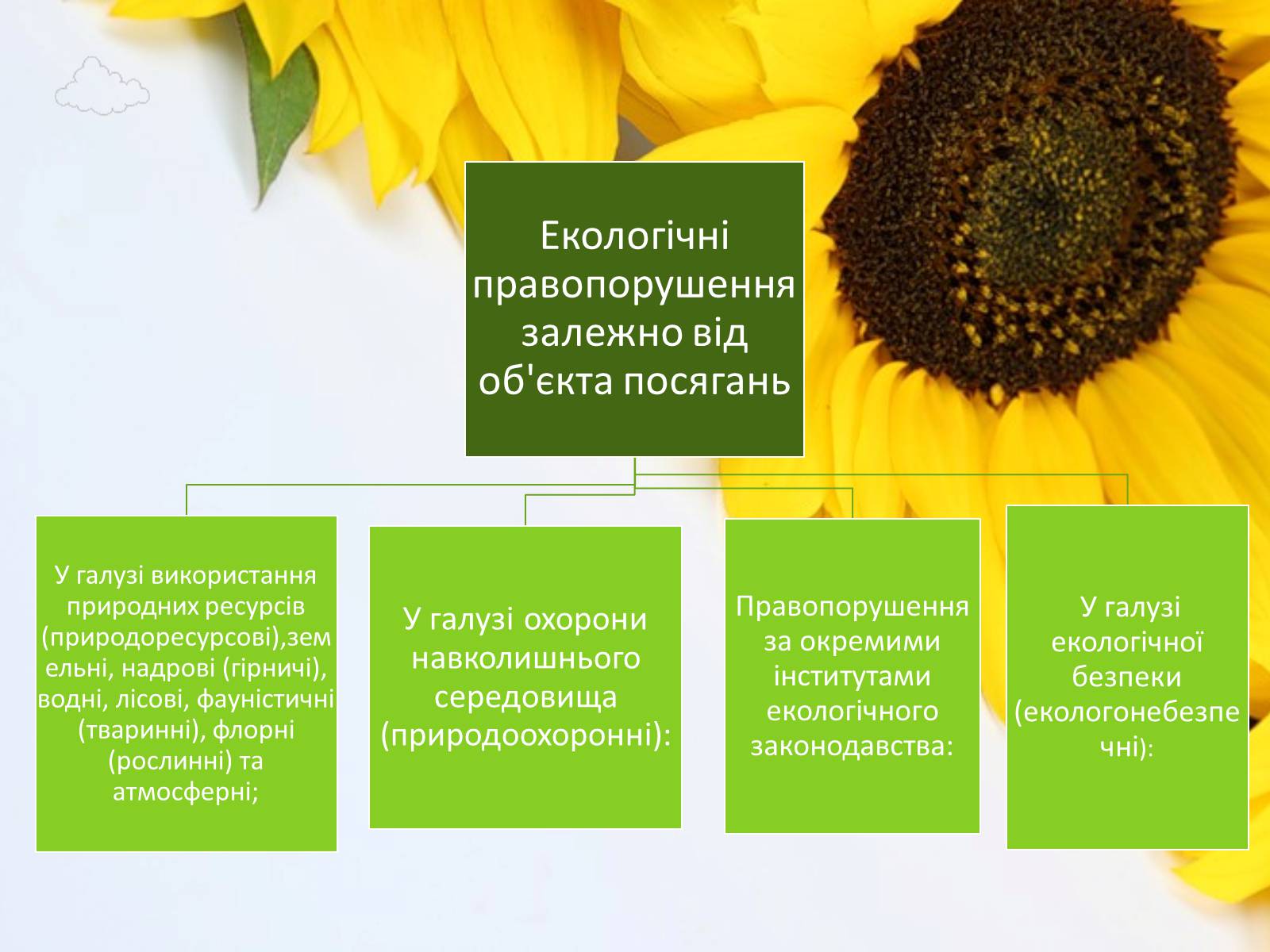Презентація на тему «Екологічне право в Україні» - Слайд #11