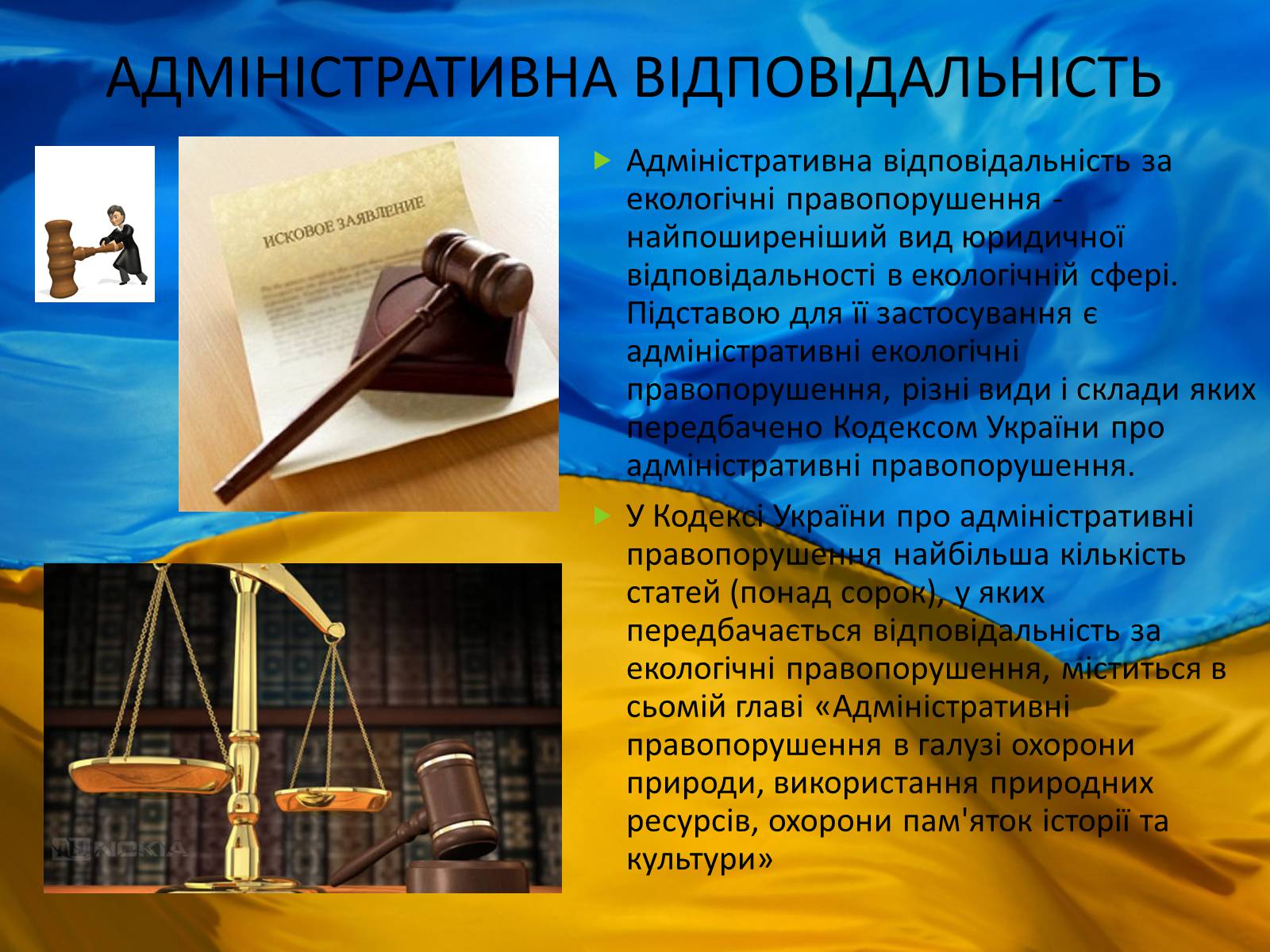 Презентація на тему «Екологічне право в Україні» - Слайд #12