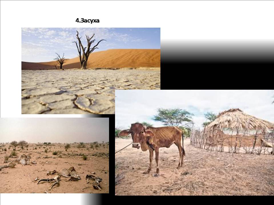 Презентація на тему «Африка» (варіант 19) - Слайд #32