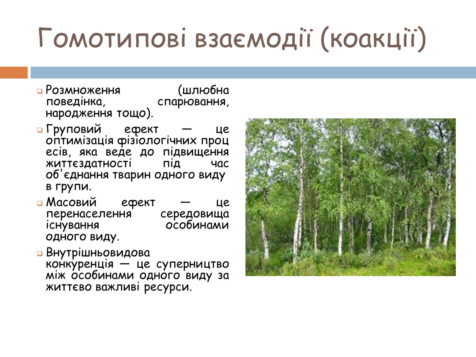 Презентація на тему «Екологічні фактори» (варіант 1) - Слайд #26