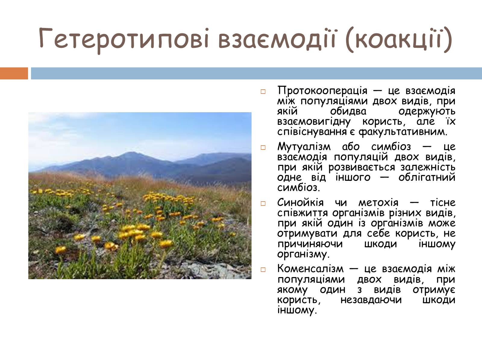 Презентація на тему «Екологічні фактори» (варіант 1) - Слайд #27