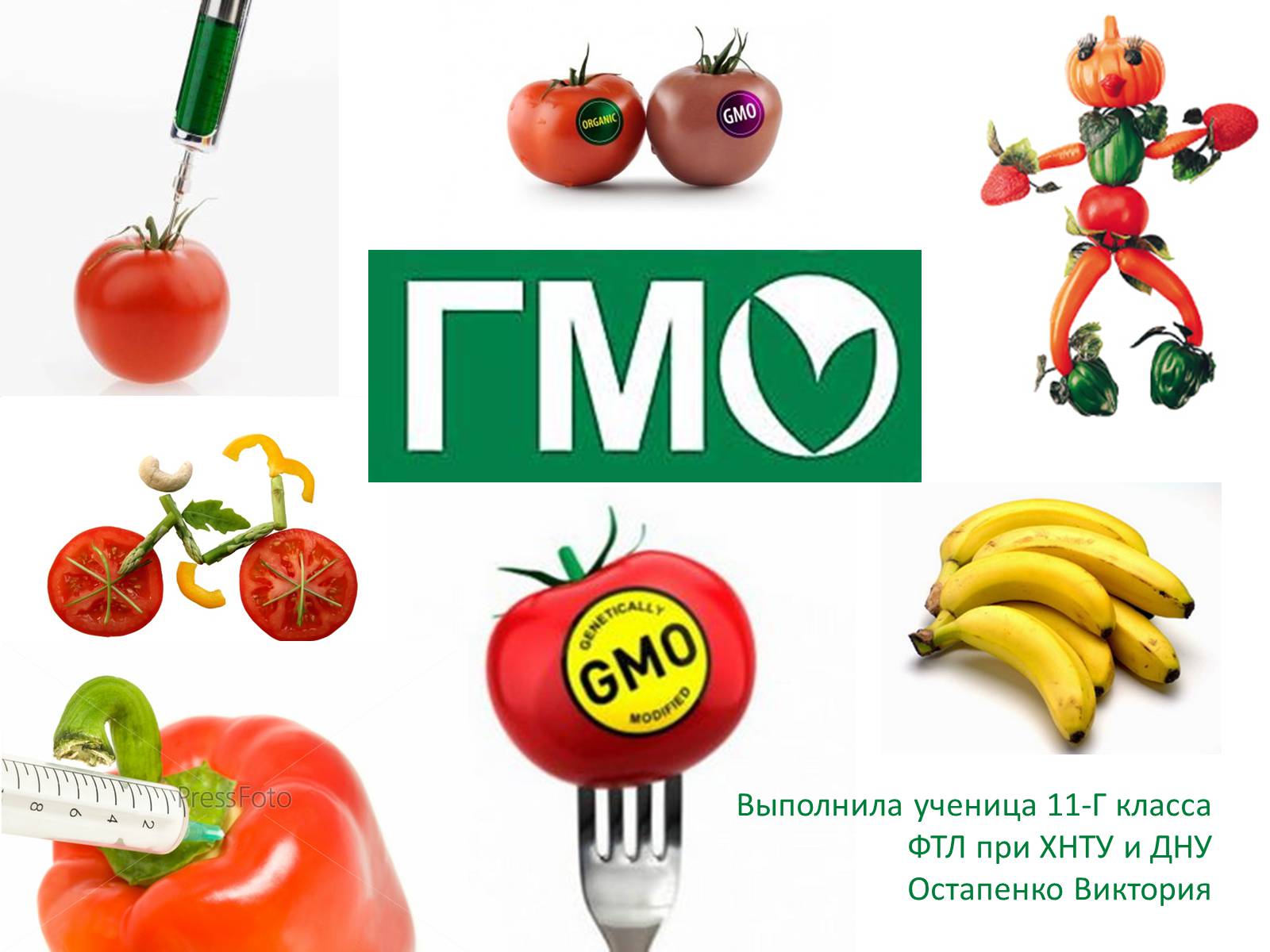 Презентація на тему «ГМО» (варіант 3) - Слайд #1