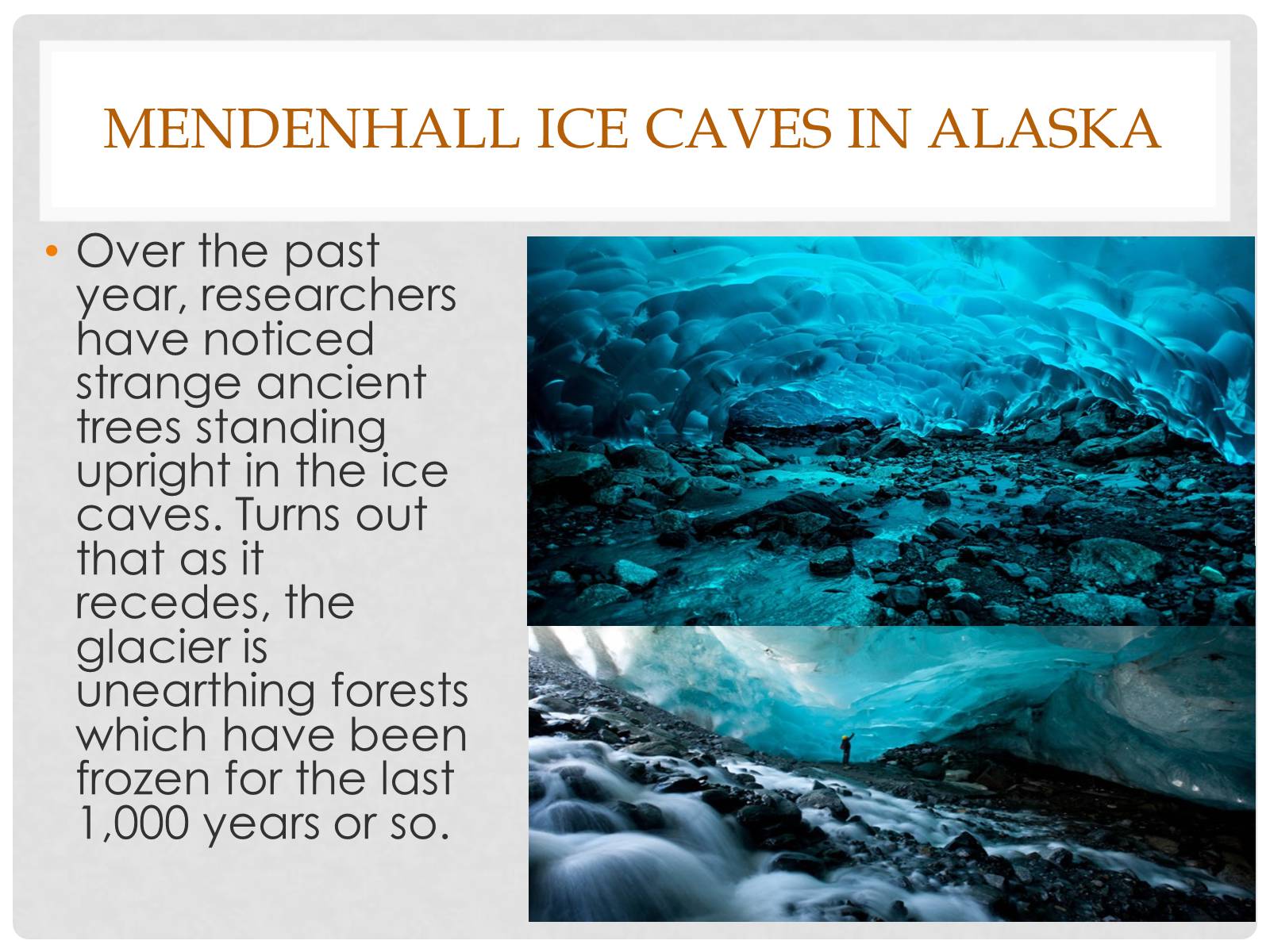 Презентація на тему «Alaska» - Слайд #11