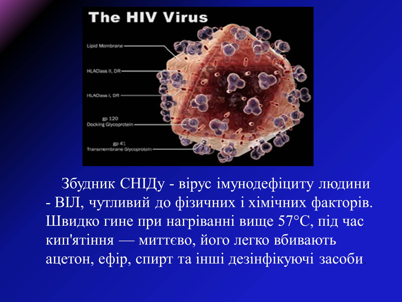 Презентація на тему «СНІД» (варіант 8) - Слайд #3