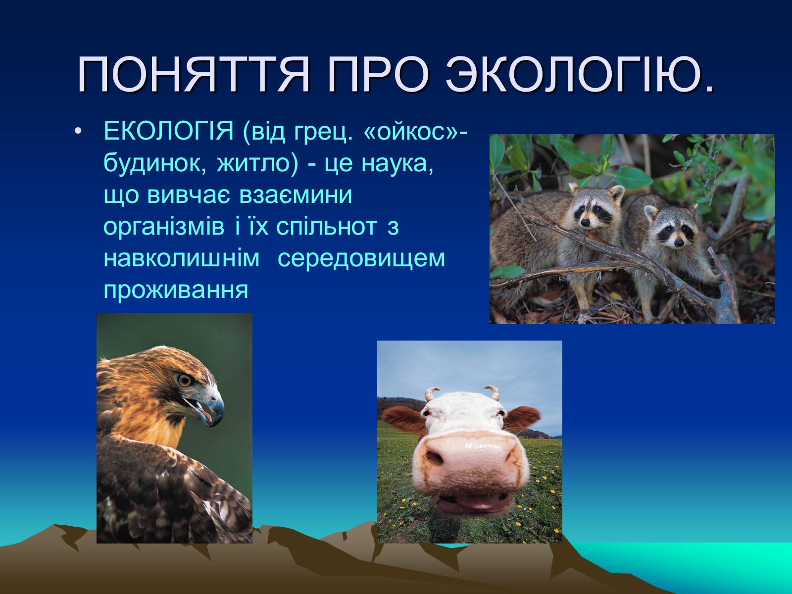 Презентація на тему «Екологія» (варіант 8) - Слайд #3