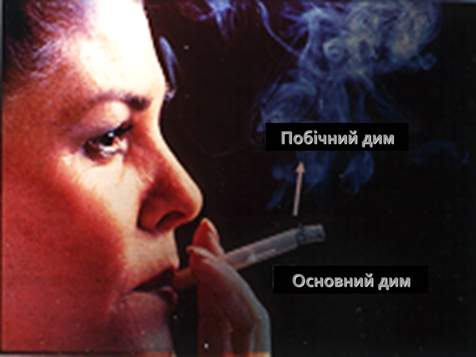 Презентація на тему «Палити чи не палити?» - Слайд #19