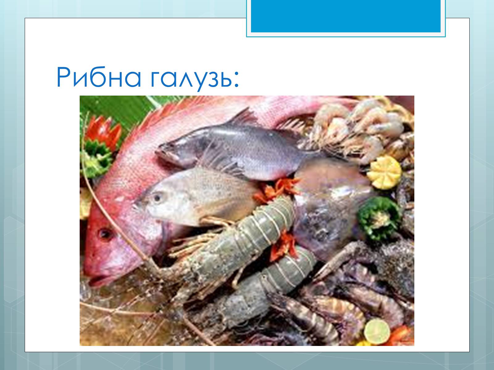 Презентація на тему «Дослідження закономірностей розміщення підприємств харчової промисловості України.» - Слайд #13