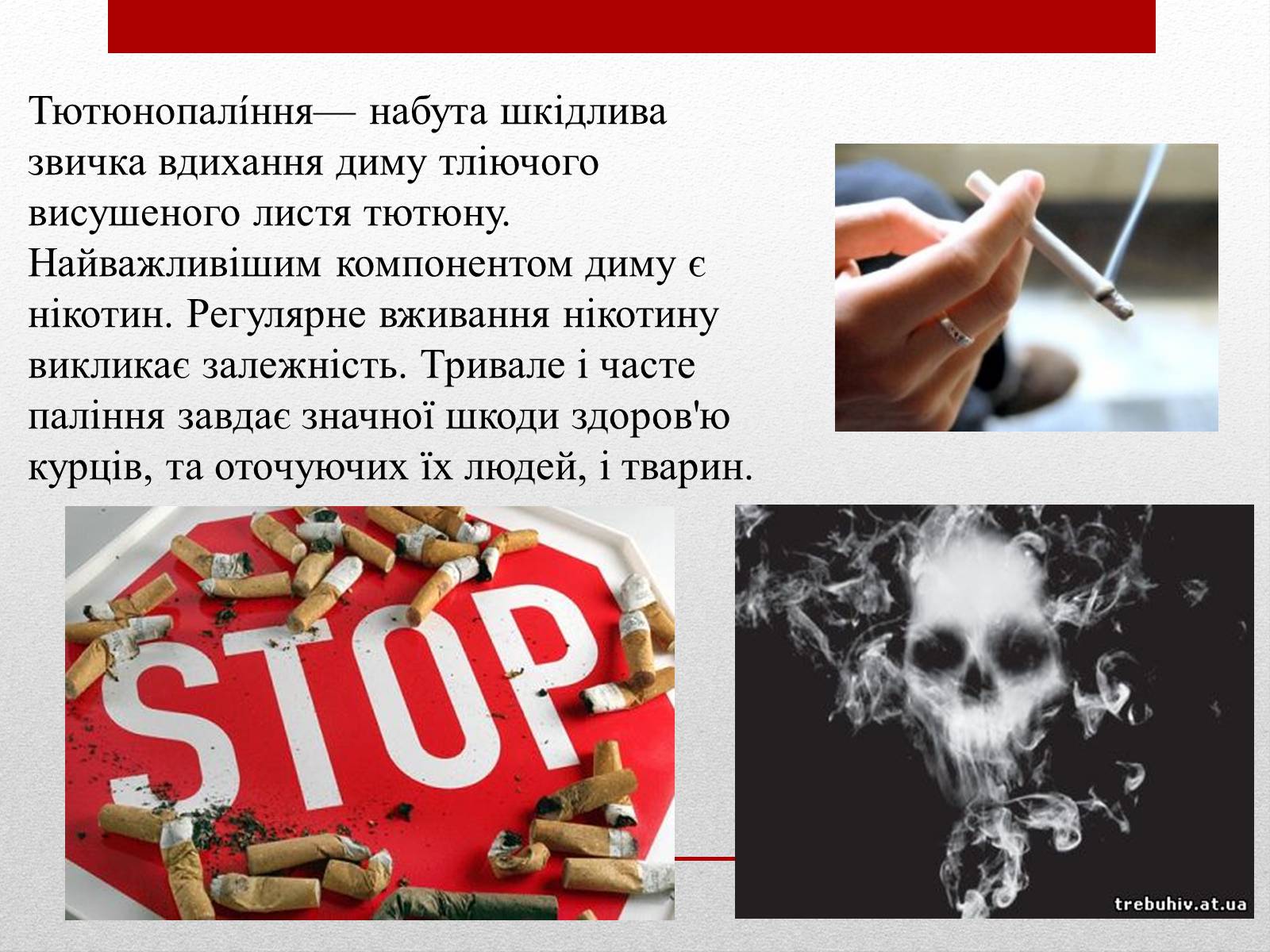 Презентація на тему «Про шкоду тютюнокуріння» - Слайд #2