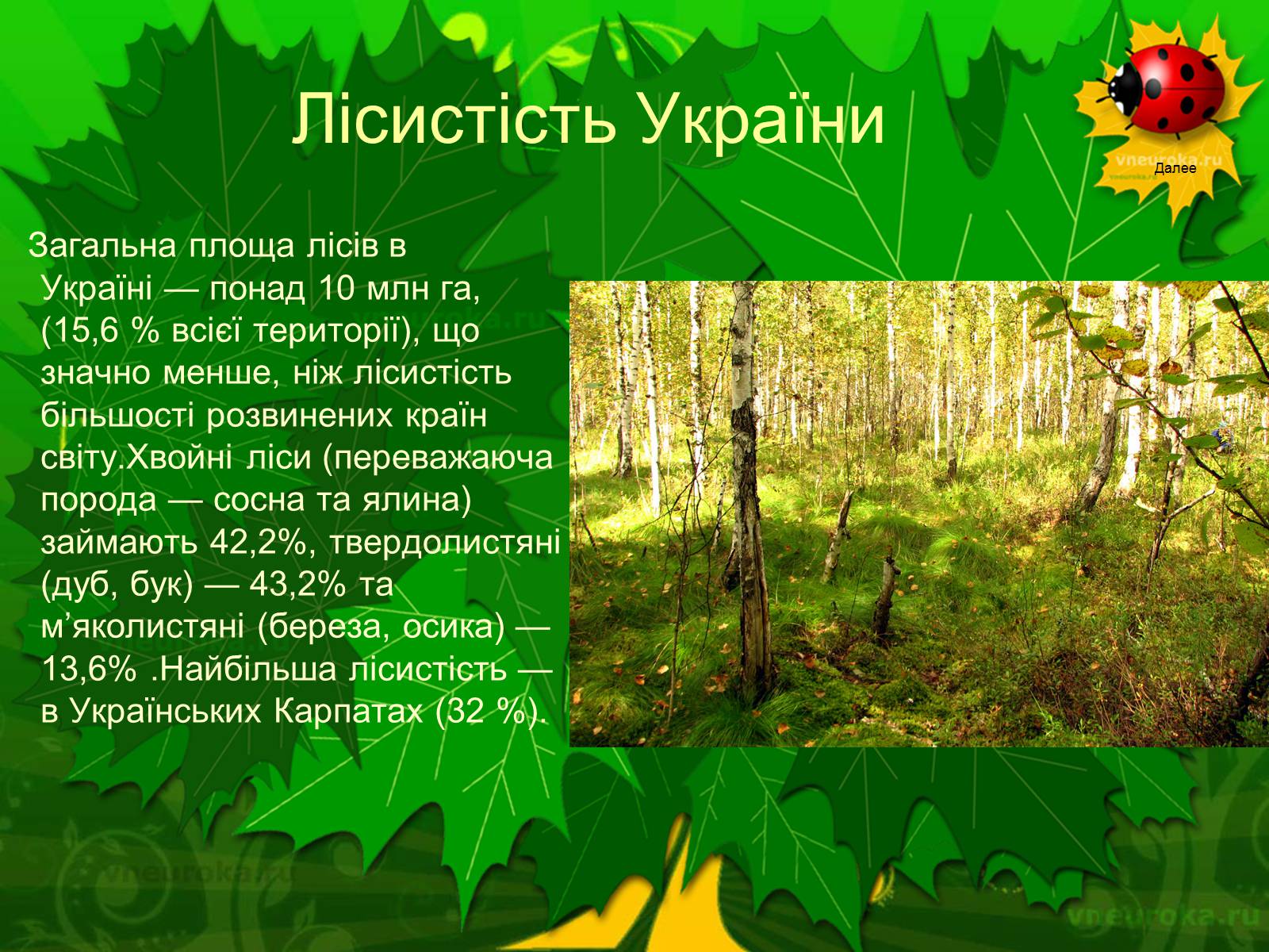 Презентація на тему «Екологічні проблеми лісів України» - Слайд #2