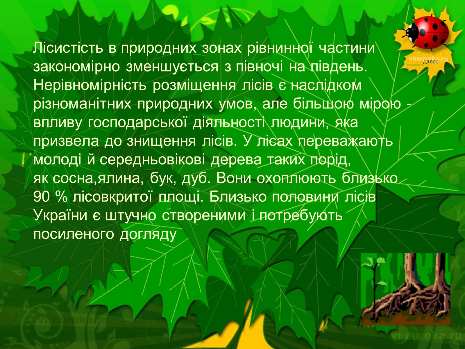 Презентація на тему «Екологічні проблеми лісів України» - Слайд #3