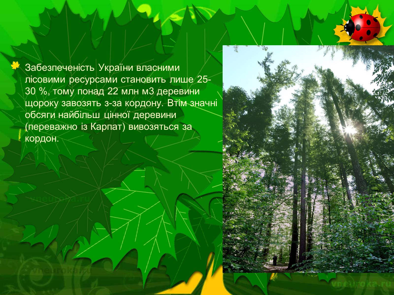Презентація на тему «Екологічні проблеми лісів України» - Слайд #4