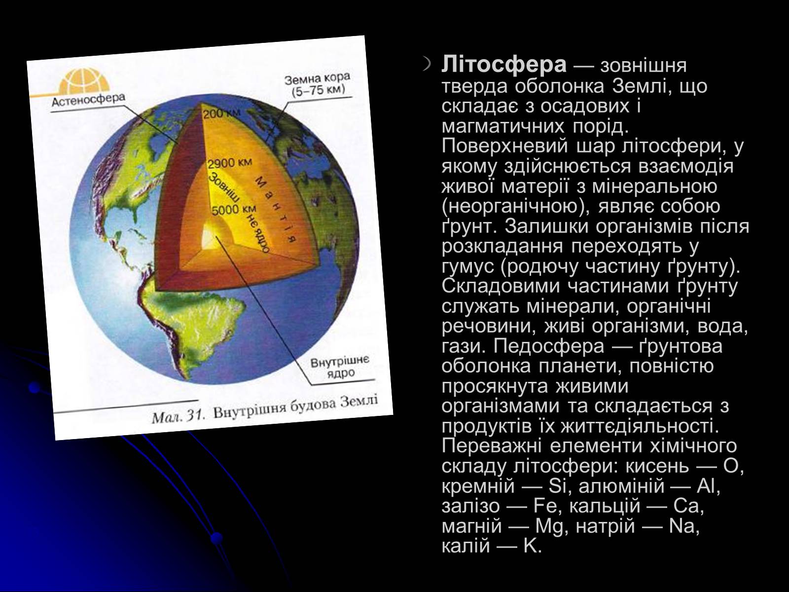 Презентація на тему «Біосфера» (варіант 10) - Слайд #13
