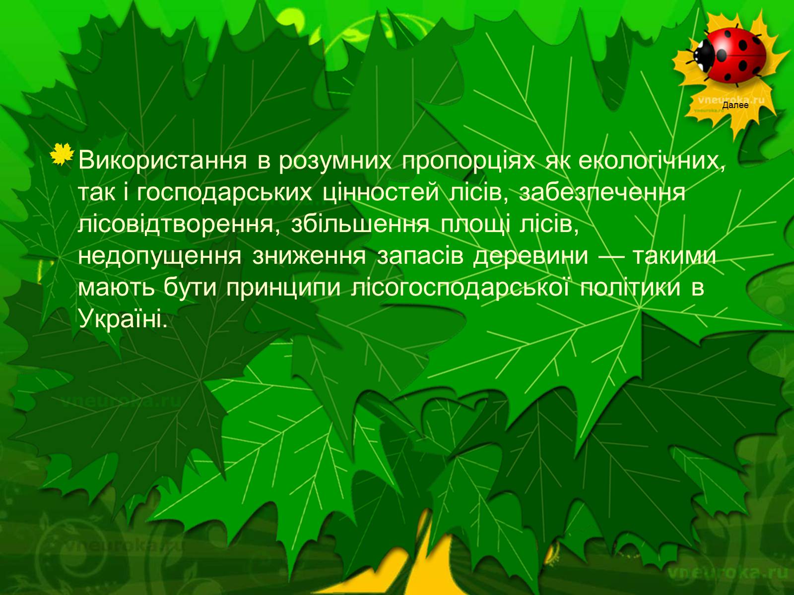 Презентація на тему «Екологічні проблеми лісів України» - Слайд #19