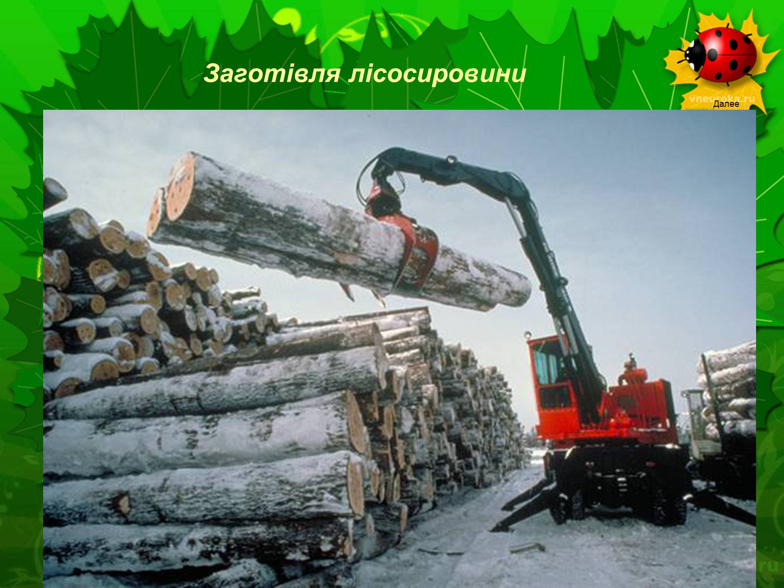 Презентація на тему «Екологічні проблеми лісів України» - Слайд #23