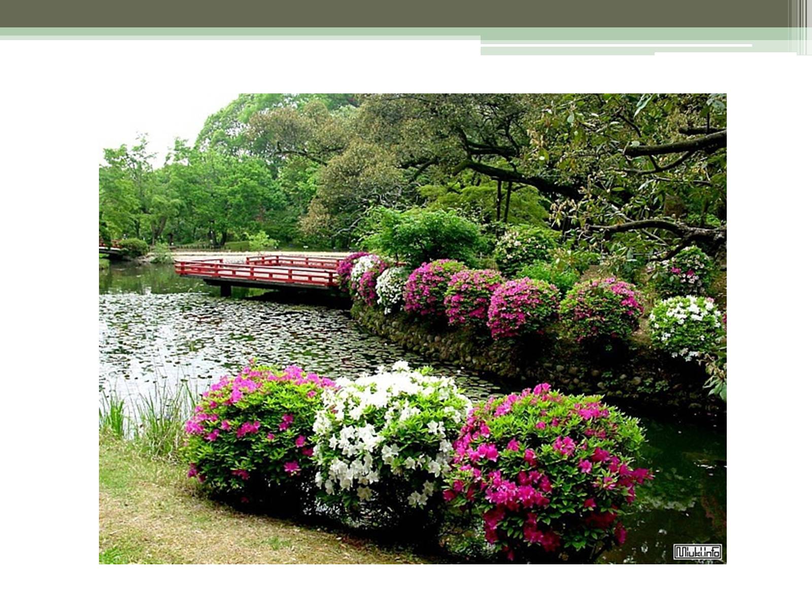 Презентація на тему «Ландшафтные сады Японии» - Слайд #3