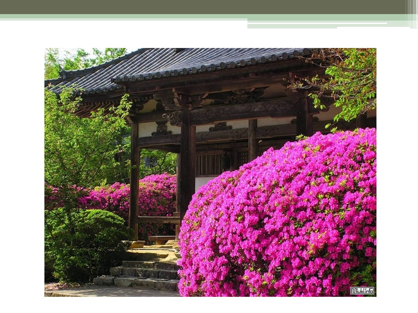 Презентація на тему «Ландшафтные сады Японии» - Слайд #4